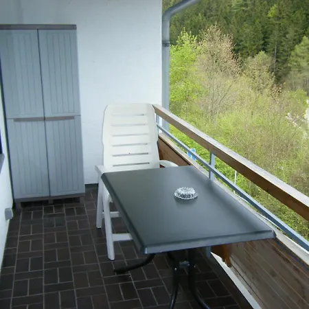 Wiethegers Centrum Ii * Willingen (Upland)