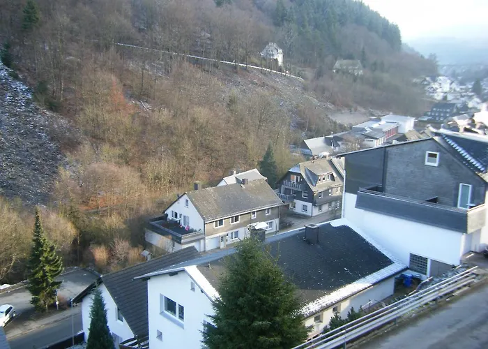 Wiethegers Gaestehaus Centrum Ii Appartement Willingen (Upland)